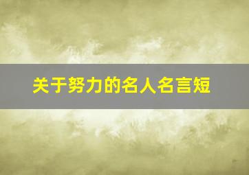 关于努力的名人名言短