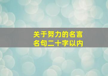 关于努力的名言名句二十字以内