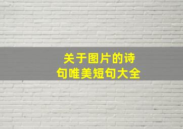 关于图片的诗句唯美短句大全