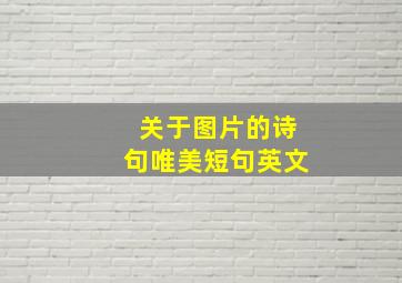 关于图片的诗句唯美短句英文