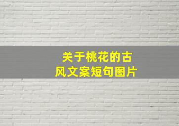 关于桃花的古风文案短句图片