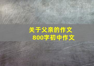 关于父亲的作文800字初中作文