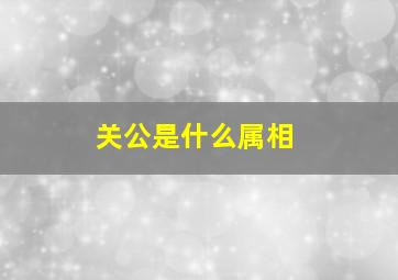 关公是什么属相