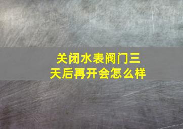 关闭水表阀门三天后再开会怎么样