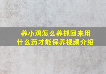 养小鸡怎么养抓回来用什么药才能保养视频介绍