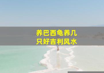 养巴西龟养几只好吉利风水