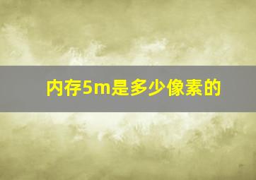 内存5m是多少像素的