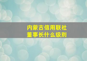 内蒙古信用联社董事长什么级别