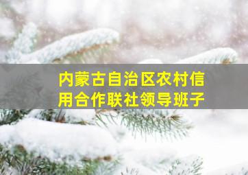 内蒙古自治区农村信用合作联社领导班子