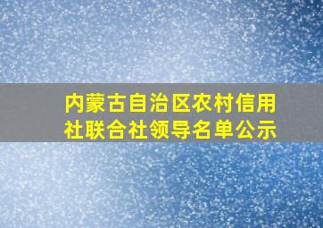 内蒙古自治区农村信用社联合社领导名单公示