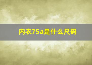 内衣75a是什么尺码