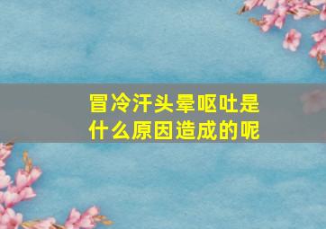 冒冷汗头晕呕吐是什么原因造成的呢