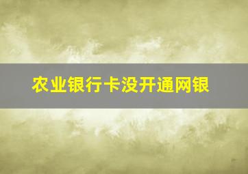 农业银行卡没开通网银