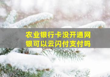 农业银行卡没开通网银可以云闪付支付吗