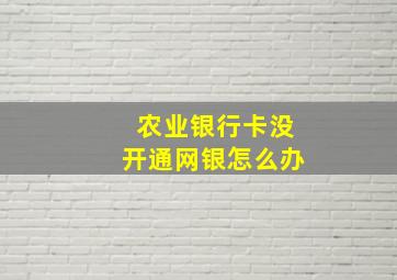 农业银行卡没开通网银怎么办