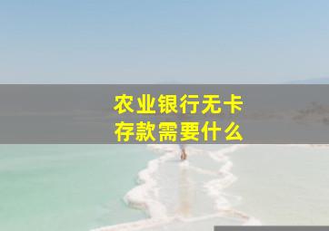 农业银行无卡存款需要什么