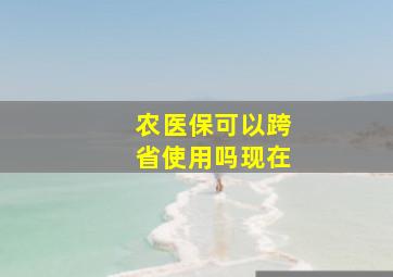 农医保可以跨省使用吗现在