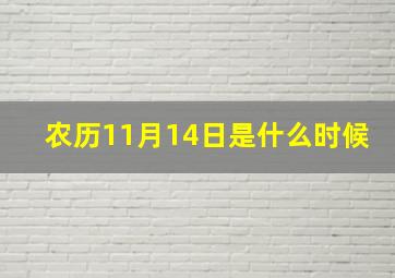 农历11月14日是什么时候