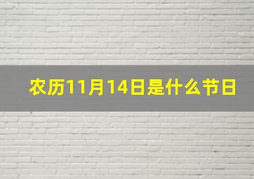 农历11月14日是什么节日