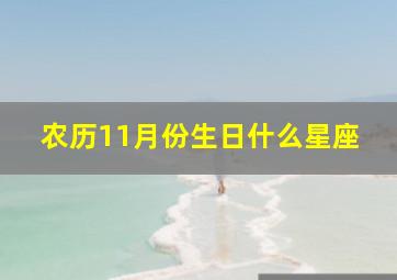 农历11月份生日什么星座