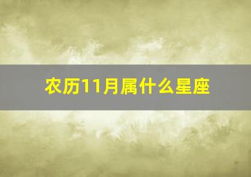 农历11月属什么星座