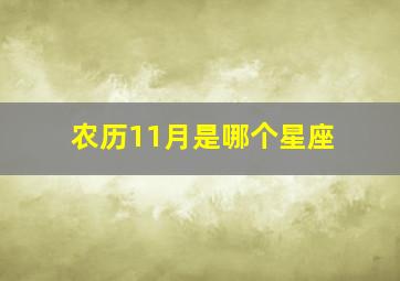 农历11月是哪个星座