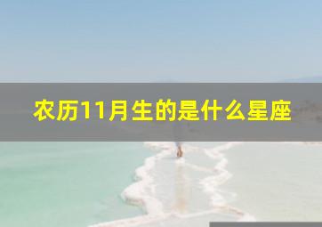 农历11月生的是什么星座