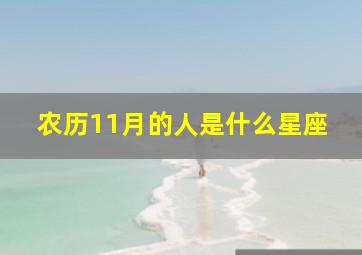 农历11月的人是什么星座