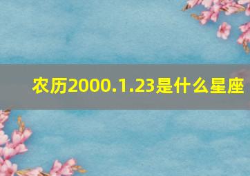 农历2000.1.23是什么星座