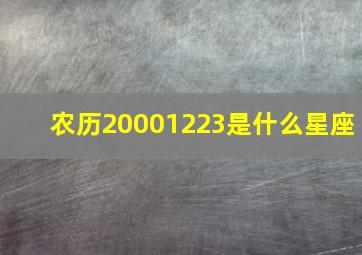 农历20001223是什么星座