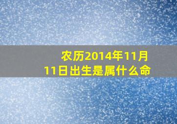 农历2014年11月11日出生是属什么命