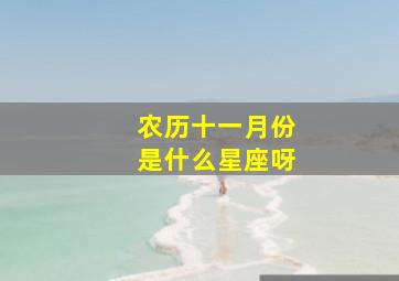 农历十一月份是什么星座呀