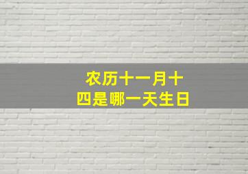 农历十一月十四是哪一天生日