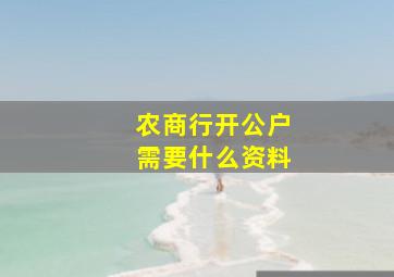 农商行开公户需要什么资料