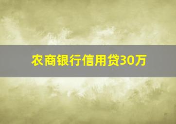 农商银行信用贷30万