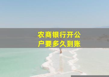 农商银行开公户要多久到账