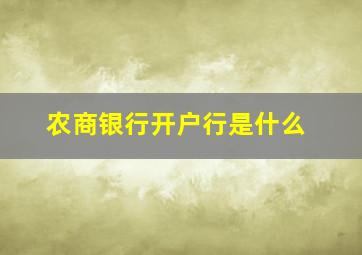 农商银行开户行是什么