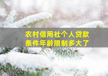 农村信用社个人贷款条件年龄限制多大了