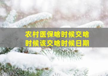 农村医保啥时候交啥时候该交啥时候日期