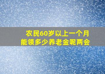 农民60岁以上一个月能领多少养老金呢两会