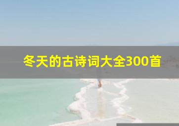 冬天的古诗词大全300首