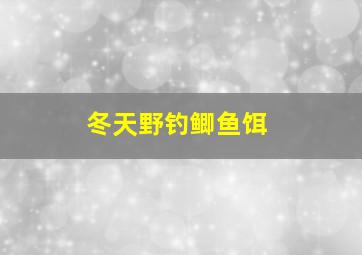 冬天野钓鲫鱼饵