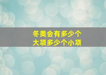 冬奥会有多少个大项多少个小项