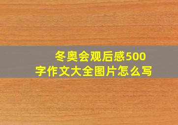 冬奥会观后感500字作文大全图片怎么写