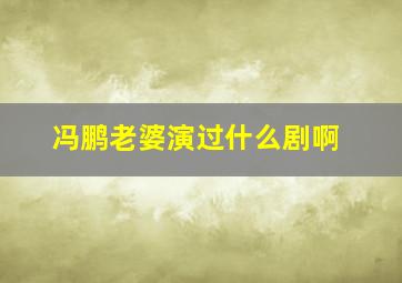 冯鹏老婆演过什么剧啊