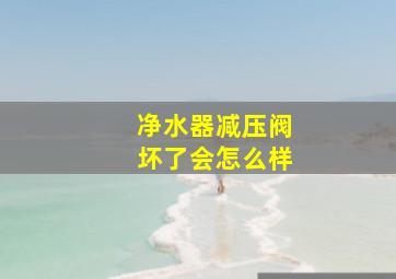 净水器减压阀坏了会怎么样