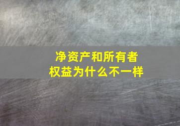 净资产和所有者权益为什么不一样