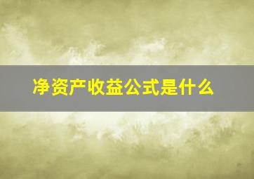 净资产收益公式是什么