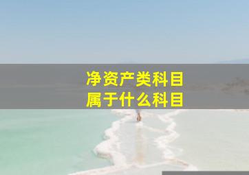 净资产类科目属于什么科目