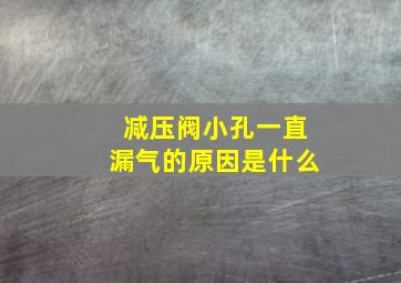 减压阀小孔一直漏气的原因是什么